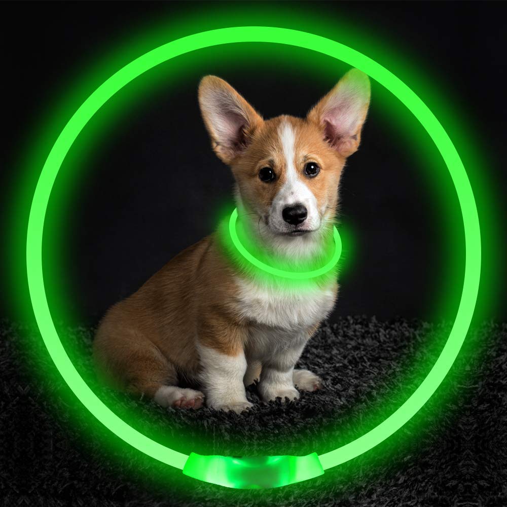 USB Rechargeable LED Dog Collar – Night Safety Glow for Evening Walks