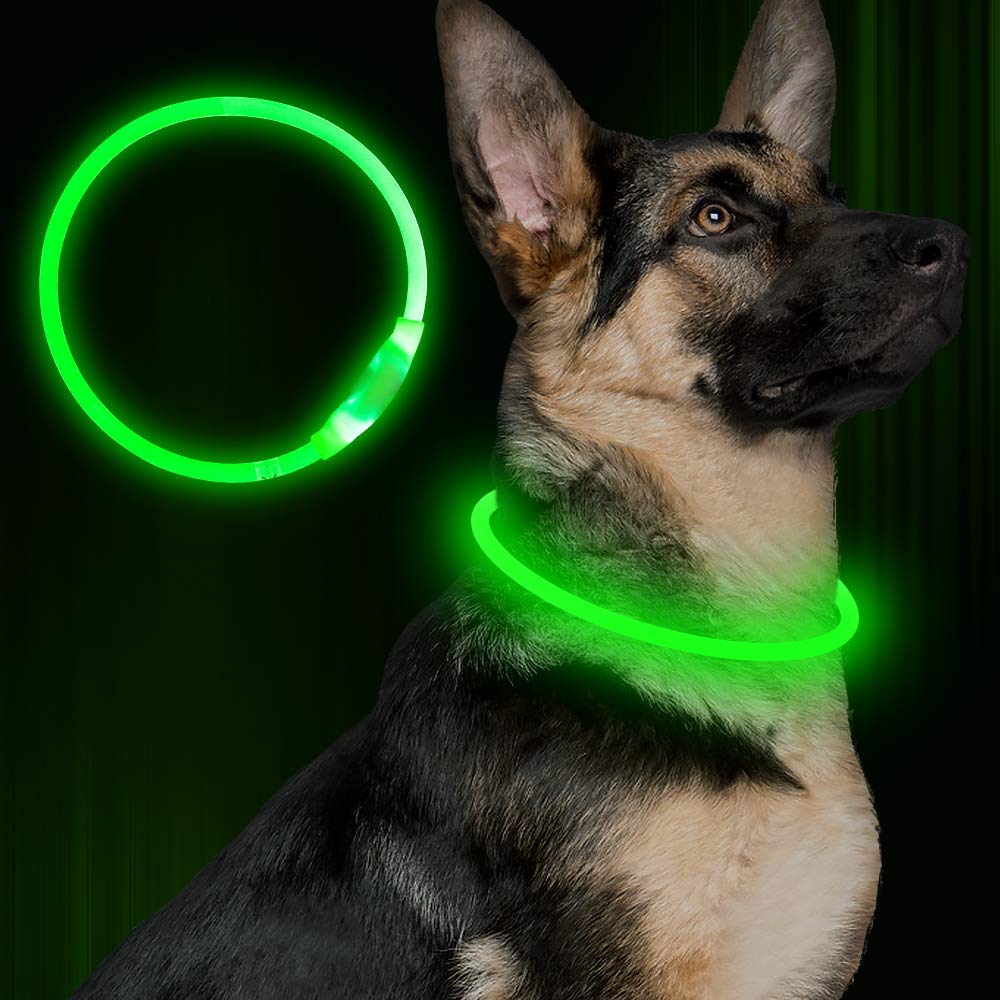 USB Rechargeable LED Dog Collar – Night Safety Glow for Evening Walks